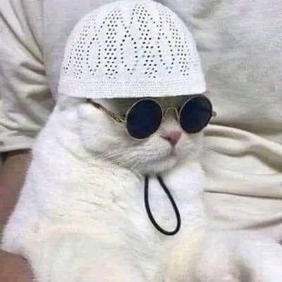 abdulhaq2023043's profile picture. 