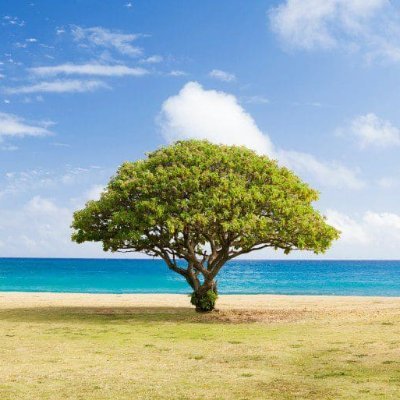 raghavmanjitwal's profile picture. you can easily schedule online counselling sessions with the best psychologists, counsellors, and therapists in India.