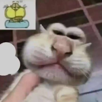emiromagicalgir's profile picture. cornielia