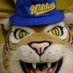 FVSU Wildcats Pride (@fvsupride) Twitter profile photo FVSU Wildcats Pride (@fvsupride) Twitter profile photo