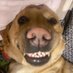 Taff (@taffmet) Twitter profile photo Taff (@taffmet) Twitter profile photo