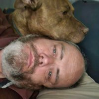 Dan Cook 🇦🇺🇦🇺🇦🇺 (@dancook97451084) 's Twitter Profile