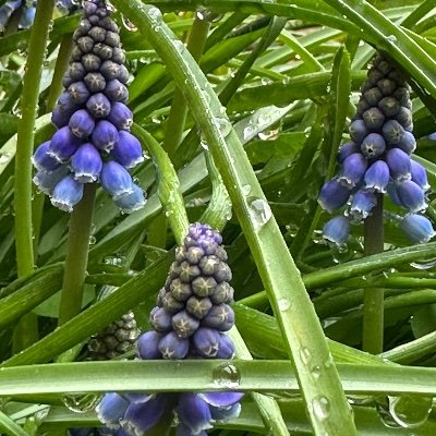 みんなで笑いたい
闇も そうでない人も
どの国の人も
どの宗教の人も
動物も 人間も、植物も、他も
みんなで笑いたい
それだけを願う
お馬鹿な無力な人間です(≧∀≦)
弱い者いじめ、集スト、他
そういう事 大嫌いな人間です