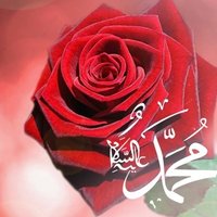 Aciz Bir Kul 🇹🇷🇹🇷🇹🇷 (@acizbirkul0147) 's Twitter Profile