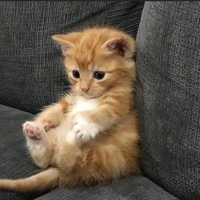 Medical and health ✌| Take care of what take cares of you💅🌸 |https://t.co/XNBEiFHCFG
WALK BY faith NOT BY sight
