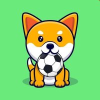 Minifootball_Club (@minifootballbsc) 's Twitter Profile
