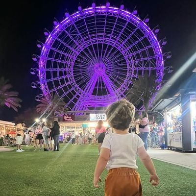 Freedom17603189's profile picture. blogger