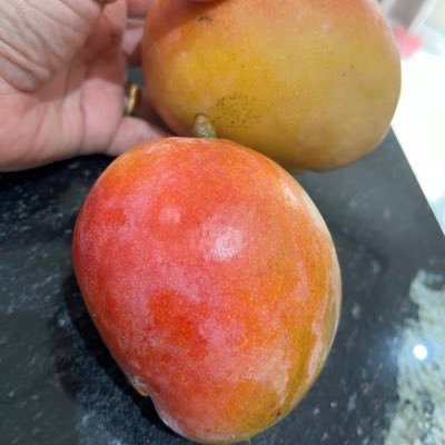 MrrTatiana's profile picture. 