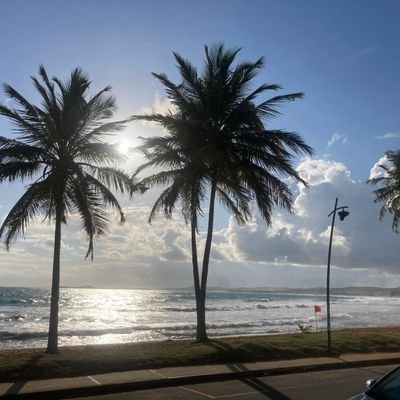 BenabeMendez's profile picture. 