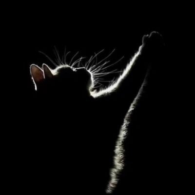 cl_31hs's profile picture. 23さい 閲覧用(夢垢) rt ▶︎▷🔖