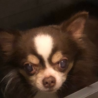yuutann1998's profile picture. リアルゴルフ歴約2年⛳️最近あんまりゲームしなくなりました。
