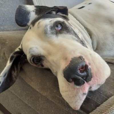 ca_milartt's profile picture. 
