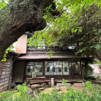 桜縁荘（旧唐木田家住宅）🌸since 1920 (@oenso1920) 's Twitter Profile Photo