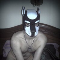 Pup_Eris (@pup_eris) 's Twitter Profile
