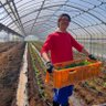 Webimacyan's profile picture. 福岡県でweb制作をしています！ 月収50万円を目指してひたすら走っていきたいと思います！ codelife9期生です。 趣味は農作業です。 ポートフォリオはこちら↓ https://t.co/TIIjFTGNrd