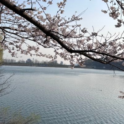 meinsharjeel's profile picture. Video Creator, Cricket Craze. RTs are endorsements