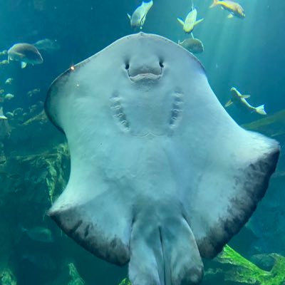 OThDXsgcqb65340's profile picture. 