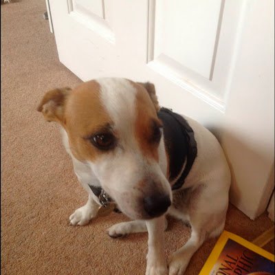 Emmalupin41's profile picture. 