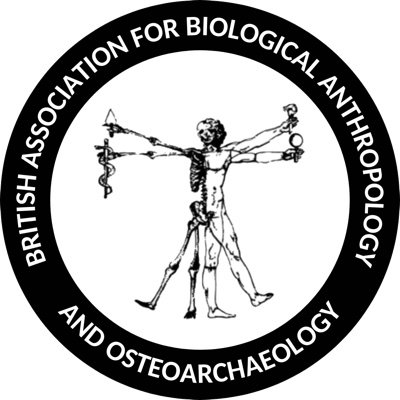 We are the British Association for Biological Anthropology and Osteoarchaeology (BABAO) 💀 Tweets by @ofeliamezae (Comms Officer) & @SamanthaPurcha1 (EDI)