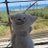 Shintakusumaa19's profile image