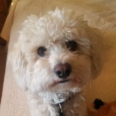 Vania16's profile picture. Me.