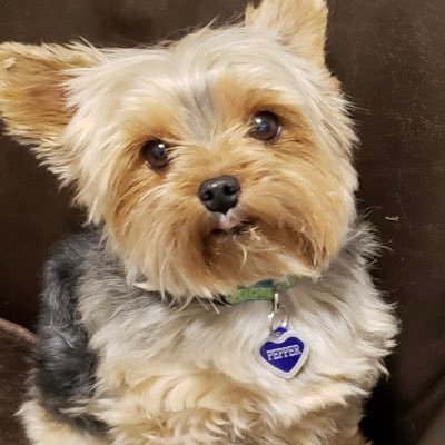 Patrici00418736's profile picture. 