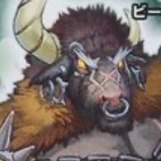 toki11598's profile picture. tkhs98期