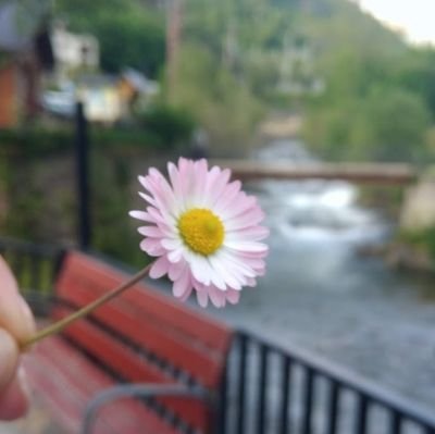 AmarantaBondia's profile picture. 