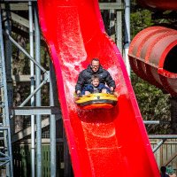 Landmark Forest Adventure Park(@LandmarkParkUK) 's Twitter Profile Photo