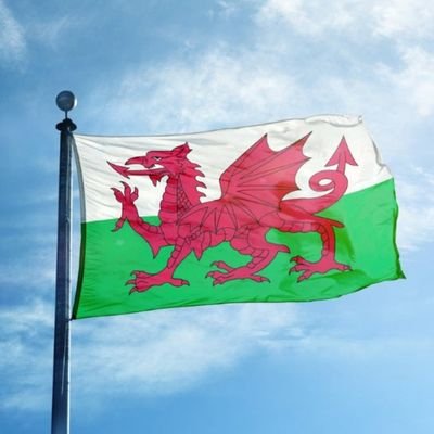 daviesp316's profile picture. 