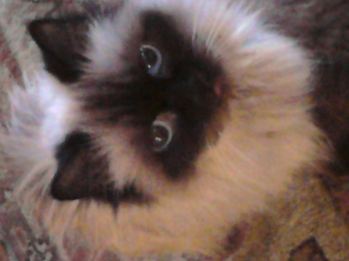 CalKowalewski's profile picture. 