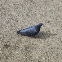 ？？？ (@ai_03_2) Twitter profile photo