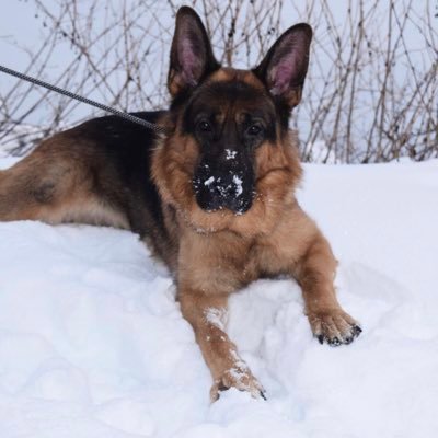 StrangerThnFxtn's profile picture. 