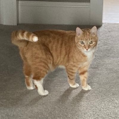 KimChuk414's profile picture. 