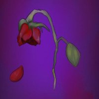 Act Sorry (@actsorry) 's Twitter Profile