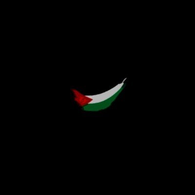 #FreePalestine
#BoycottIsrael