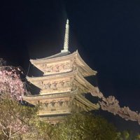ようしゅん (@_yoel_y) Twitter profile photo
