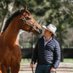 Tom Magnier Coolmore Fanpage (@tom_magnier_) Twitter profile photo Tom Magnier Coolmore Fanpage (@tom_magnier_) Twitter profile photo