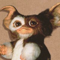 毒島(仮名) (@sabashi00) 's Twitter Profile Photo