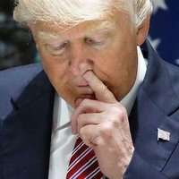 Fat Nixon is a Traitor 🇺🇦 🟧 🚩 (@lbusdoor90) 's Twitter Profile