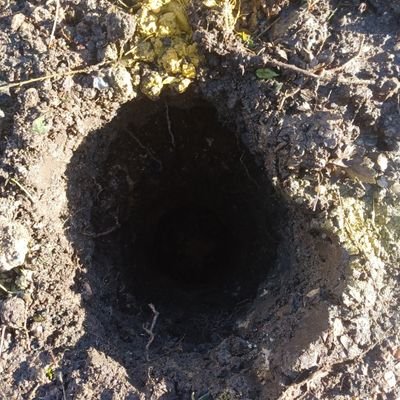 Ferns_85's profile picture. Ferns