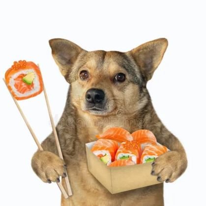 Sir Joe Luck Sushi Dog 🍣