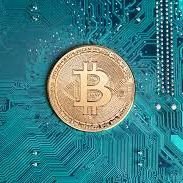 Cryoto_Zone's profile picture. Crypto_Lovers