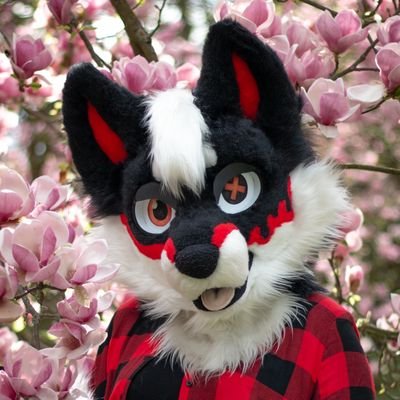 Fursuiter | Fursuit maker 🇨🇿 |
22 y.o. | She/Her ♀️