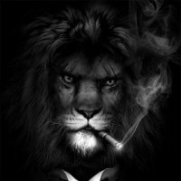 Dimarex Tabi 🟧ZEEK🐉 $MON ꧁IP꧂🐐 (@dimarex2023) 's Twitter Profile