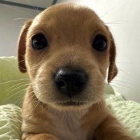eddie fr (@sillyeddy) 's Twitter Profile