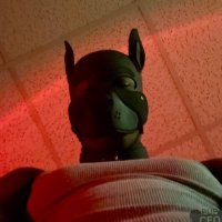 Pup CEO (@pupceo) 's Twitter Profile