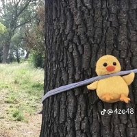 malk (@malk37091) 's Twitter Profile Photo malk (@malk37091) 's Twitter Profile Photo