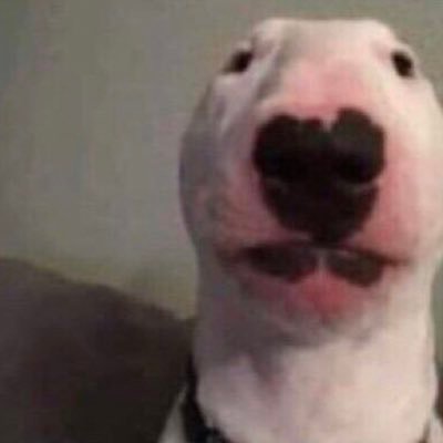 ForeheadFT's profile picture. @Foreah