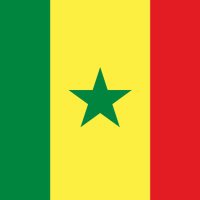 PSL 🇸🇳🇸🇳 🇵🇸🇵🇸(@rooot__hack) 's Twitter Profile Photo